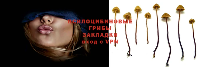 МДМА Волосово