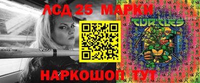 спиды Жуковский