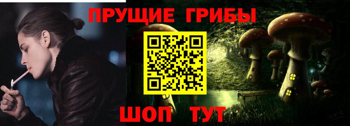 Назарово  Псилоцибиновые грибы прущие грибы  Вход с VPN 