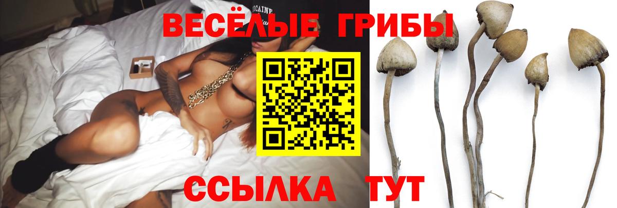 Псилоцибиновые грибы MAGIC MUSHROOMS Назарово